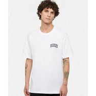 Dickies DK0A4Y8OWHX1-001 Beyaz Aitkin Chest T-Shirt Erkek T-Shirt