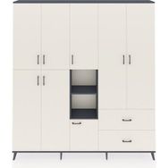 Dienni Arges Gardrop 12 Raflı 2 Çekmeceli Tek Askılı 220X30X243 Antrasit-Aytaşı