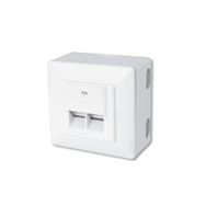 Digitus DN-9006/B5-N 2xRJ45 CAT6 2'li Sıva Üstü Zırhlı LSA Priz