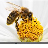 Dijitsu 42DS9000 42 inç 106 Ekran Full HD Android LED TV