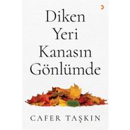 Diken Yeri Kanasın Gönlümde - Cafer Taşkın