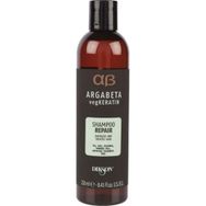 Dikson Argabeta Yeniden Yapılandırıcı Bitkisel Keratin Yıpranmış Saçlar 250 ml Şampuan