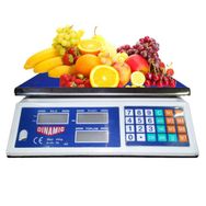 Dinamic Bakkal-Manav 40 kg Hassasiyetli Tartı