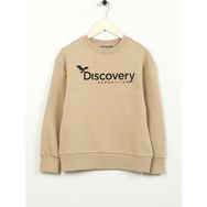 Discovery Expedition D3WB-SWT29 Baskılı Erkek Bej Sweatshirt