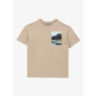 Discovery Expedition D4SB-TST3041 Bej Baskılı Erkek T-Shirt