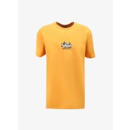 Discovery Expedition D4SM-TST3258 Turuncu Bisiklet Yaka Relaxed Fit Baskılı Erkek T-Shirt