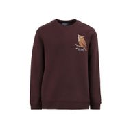 Discovery Expedition D4WM-SWT3078 Kahve Bisiklet Relaxed Nakışlı Erkek Sweatshirt