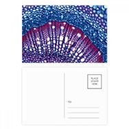 Dıythinker 14x9 cm 20 Adet Renkli Bitki Bilim Hücresi Mikrokozmik Desen Kartpostal Seti