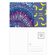 Dıythinker 14x9 cm 20 Adet Renkli Bitki Bilim Hücresi Mikrokozmik Desen Muz Kartpostal Seti