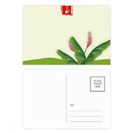 Dıythinker 14x9 cm 20 Adet Renkli Circlar June Gündönümü Yirmi Dört Güneş Dönemi Kartpostal Seti