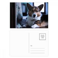 Dıythinker 14x9 cm 20 Adet Renkli Corgi Köpek Evcil Hayvan Yalnız Resim Kartpostal Seti