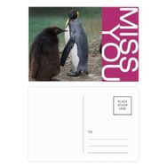Dıythinker 14x9 cm 20 Adet Renkli Deniz Soğuk Antarktik Penguen Bilim Doğa Resmi Miss Kartpostal Seti