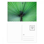 Dıythinker 14x9 cm 20 Adet Renkli Fotoğraf Taze Yaprak Resim Doğa Kartpostal Seti