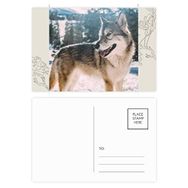 Dıythinker 14x9 cm 20 Adet Renkli Gülümseme Beyaz Köpek Kar Resmi Çiçek Kartpostal Seti