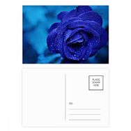 Dıythinker 14x9 cm 20 Adet Renkli Koyu Mavi Güller Çiçekler Kartpostal Seti
