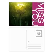 Dıythinker 14x9 cm 20 Adet Renkli Lale Yeşillik Çiçek Bitki Miss Kartpostal Seti