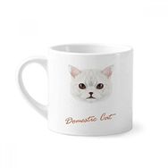 Dıythinker 170 ml Beyaz Beyaz Ev Kedi Evcil Hayvan Mini Kahve Seramik Kupa