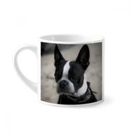 Dıythinker 170 ml Beyaz Bulldog Evcil Hayvan Koyu Resim Mini Kahve Seramik Kupa
