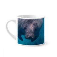 Dıythinker 170 ml Beyaz Deniz Organizması Fotoğrafçılık Hayvan Resmi Mini Kahve Seramik Kupa