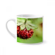 Dıythinker 170 ml Beyaz Fresh Berry Resim Doğa Fotoğraf Mini Kahve Seramik Kupa