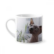 Dıythinker 170 ml Beyaz Hayvan Gri İnce Kedi Fotoğrafı Mini Kahve Seramik Kupa