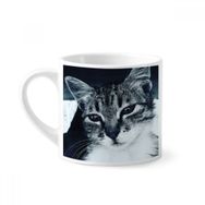 Dıythinker 170 ml Beyaz Hayvan Havalı Gri Kedi Fotoğrafı Mini Kahve Seramik Kupa
