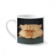Dıythinker 170 ml Beyaz Hayvan Komik Sarı Kedi Çekimi Mini Kahve Seramik Kupa
