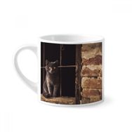 Dıythinker 170 ml Beyaz Hayvan Köşe Kedi Fotoğraf Resim Mini Kahve Seramik Kupa