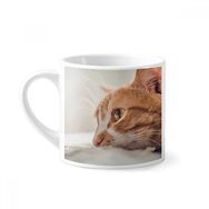 Dıythinker 170 ml Beyaz Hayvan Saf Kedi Fotoğraf Resim Mini Kahve Seramik Kupa