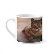 Dıythinker 170 ml Beyaz Hayvan Sessiz Kedi Fotoğrafı Mini Kahve Seramik Kupa