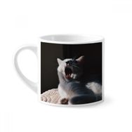 Dıythinker 170 ml Beyaz Hayvan Yawn Kedi Fotoğraf Çekimi Mini Kahve Seramik Kupa