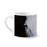Dıythinker 170 ml Beyaz Karasal Organizma Hayvan Fotoğrafçılığı Mini Kahve Seramik Kupa