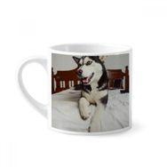 Dıythinker 170 ml Beyaz Köpek Hayvan Oda Husky Resim Mini Kahve Seramik Kupa