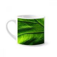 Dıythinker 170 ml Beyaz Muz Yaprağı Bitki Resmi Doğa Mini Kahve Seramik Kupa