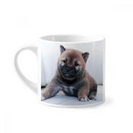 Dıythinker 170 ml Beyaz Pippy Köpek Hayvan Sevimli Resim Mini Kahve Seramik Kupa