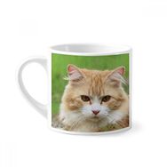 Dıythinker 170 ml Beyaz Sarı Çizgili Kedi Stare Evcil Hayvan Mini Kahve Seramik Kupa