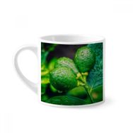 Dıythinker 170 ml Beyaz Taze Meyveler Limon Resim Fotoğrafçılığı Mini Kahve Seramik Kupa