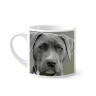 Dıythinker 170 ml Yakışıklı Köpek Evcil Hayvan Resim Mini Beyaz Çömlekçilik Seramik Saplı Kupa