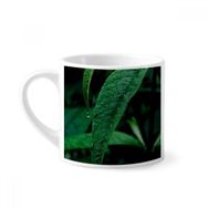 Dıythinker 170 ml Yaprak Bitki Doğa Fotoğrafçılığı Mini Beyaz Çömlekçilik Seramik Saplı Kupa