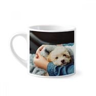 Dıythinker 170 ml Yavru Sevimli Hayvan Fotoğrafçılığı Mini Beyaz Çömlekçilik Seramik Saplı Kupa