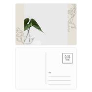 Dıythinker 20 Adet 14x9 cm Renkli Simpol Yeşil Yaprak Bitki Doğa Fotoğraf Çiçek Kartpostal Seti