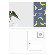 Dıythinker 20 Adet 14x9 cm Renkli Simpol Yeşil Yaprak Bitki Doğa Fotoğraf Muz Kartpostal Seti
