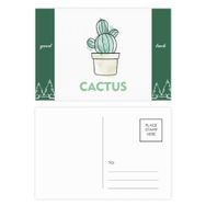 Dıythinker 20 Adet 14x9 cm Renkli Suluboya Kaktüs Sukulents Saksı Bitki İyi Şanslar Kartpostal Seti