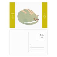 Dıythinker 20 Adet 14x9 cm Renkli Uykulu Kedi Hayvan Evcil Hayvan Suluboya Arkadaş Kartpostal Seti