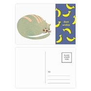 Dıythinker 20 Adet 14x9 cm Renkli Uykulu Kedi Hayvan Evcil Hayvan Suluboya Muz Kartpostal Seti