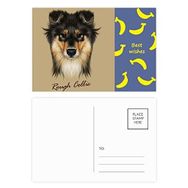 Dıythinker 20 Adet 14x9 cm Renkli Uzun Saçlı Kaba Collie Evcil Hayvan Hayvan Muz Kartpostal Seti