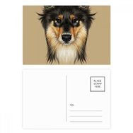 Dıythinker 20 Adet 14x9 cm Renkli Uzun Saçlı Kaba Collie Evcil Hayvan Kartpostal Seti