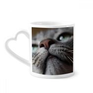 Dıythinker 340 ml Hayvan Bakıyor Kedi Fotoğrafı Kahve Kupası