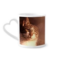 Dıythinker 340 ml Hayvan Duygusal Kedi Simpol Shoot Kahve Kupası