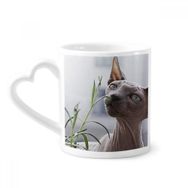 Dıythinker 340 ml Hayvan Gri İnce Kedi Fotoğrafı Kahve Kupası